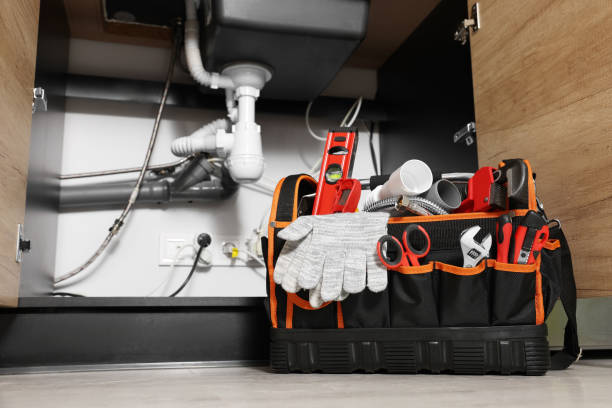 Best Same-Day Plumbing Service  in , CA